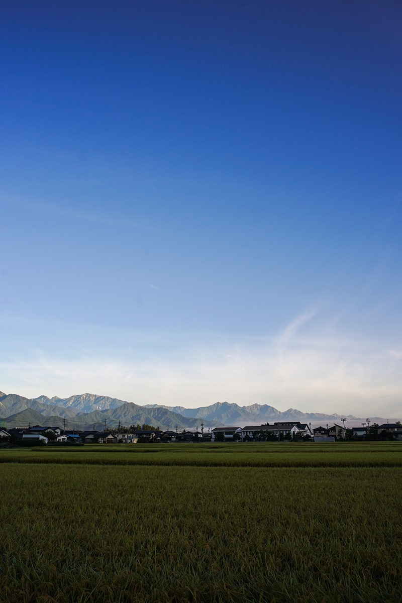 DSC09278