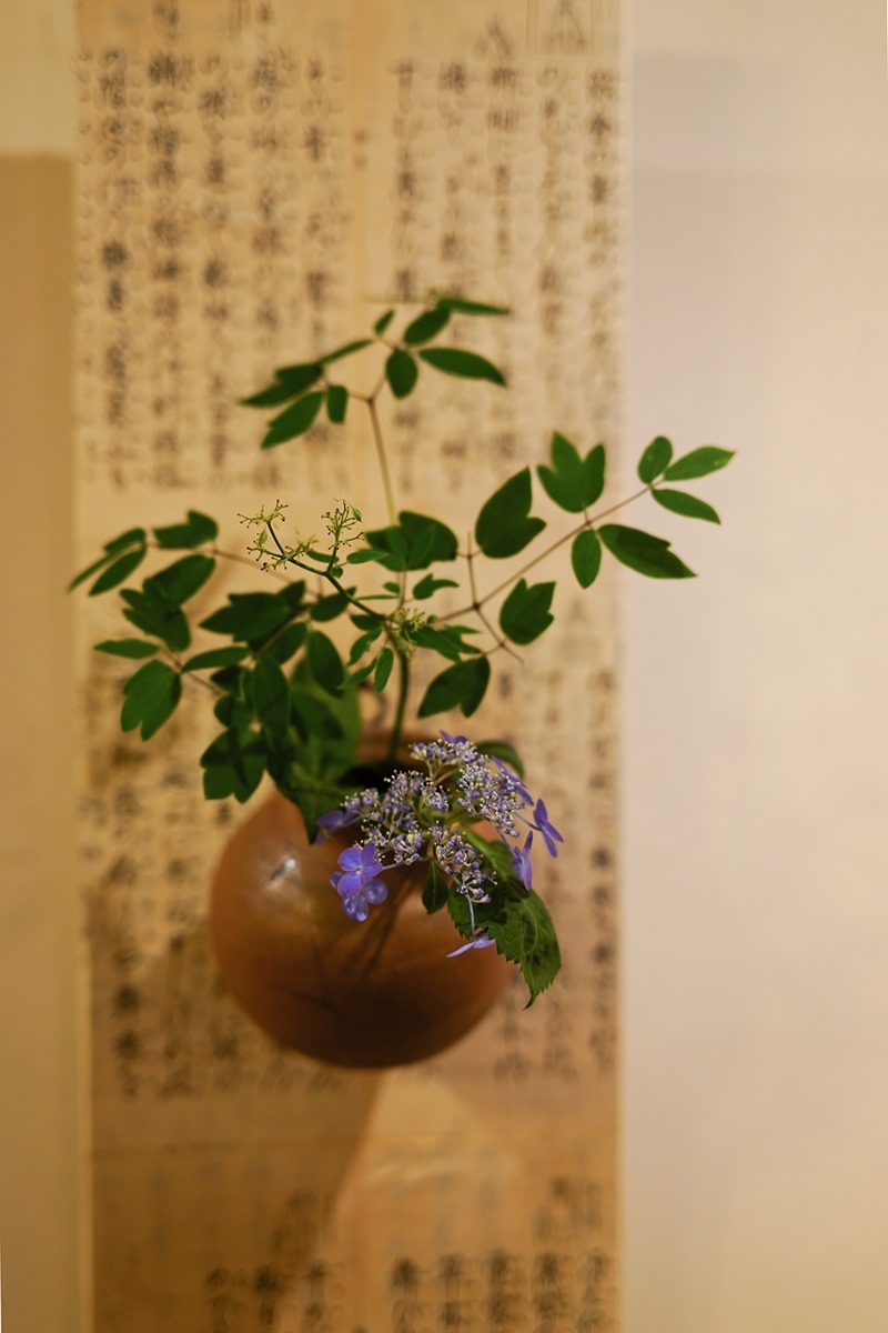 DSC07574 DSC07574