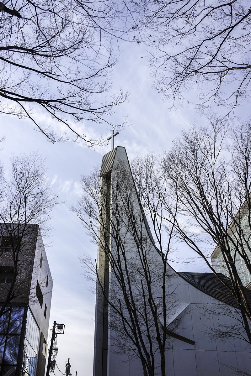 _DSC7506