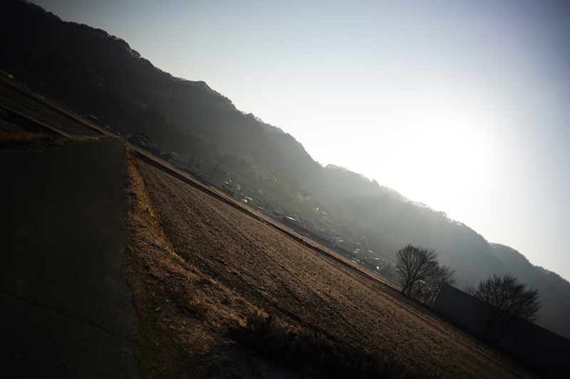 DSC02944