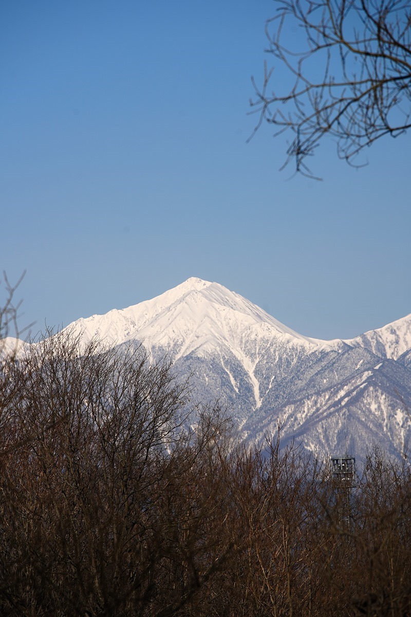 DSC03356