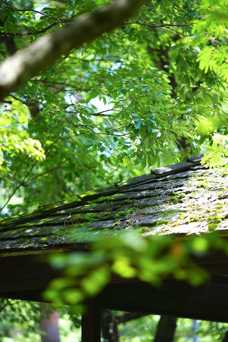 DSC07955 DSC07955