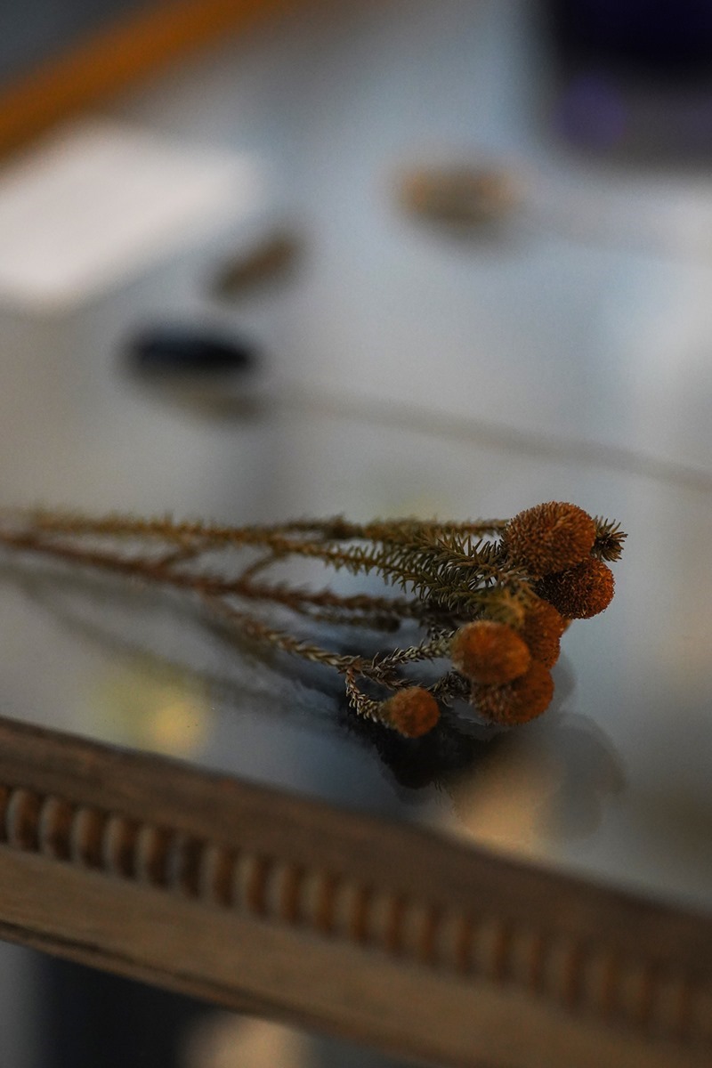 DSC07900 DSC07900