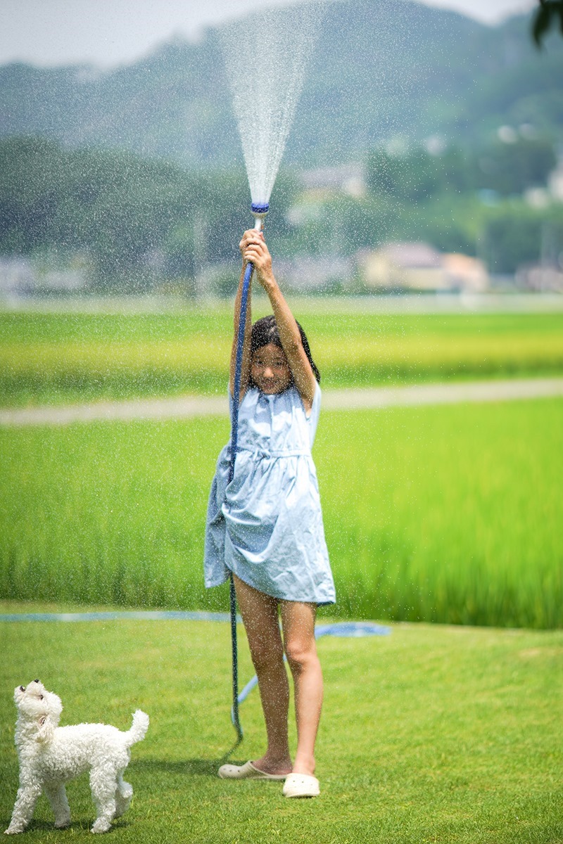 DSC08326