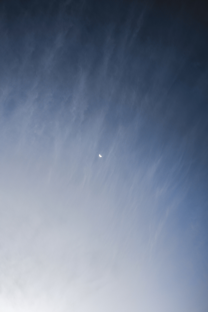 _DSC6985.jpg