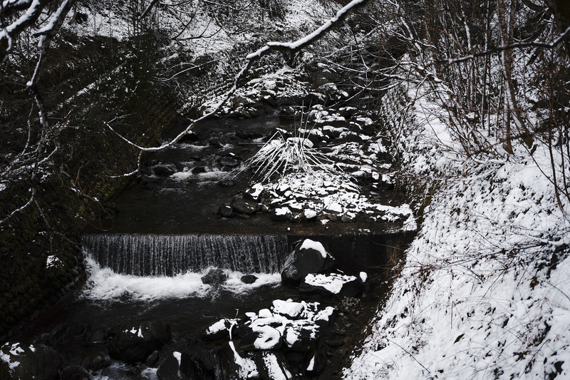 _DSC8994.jpg
