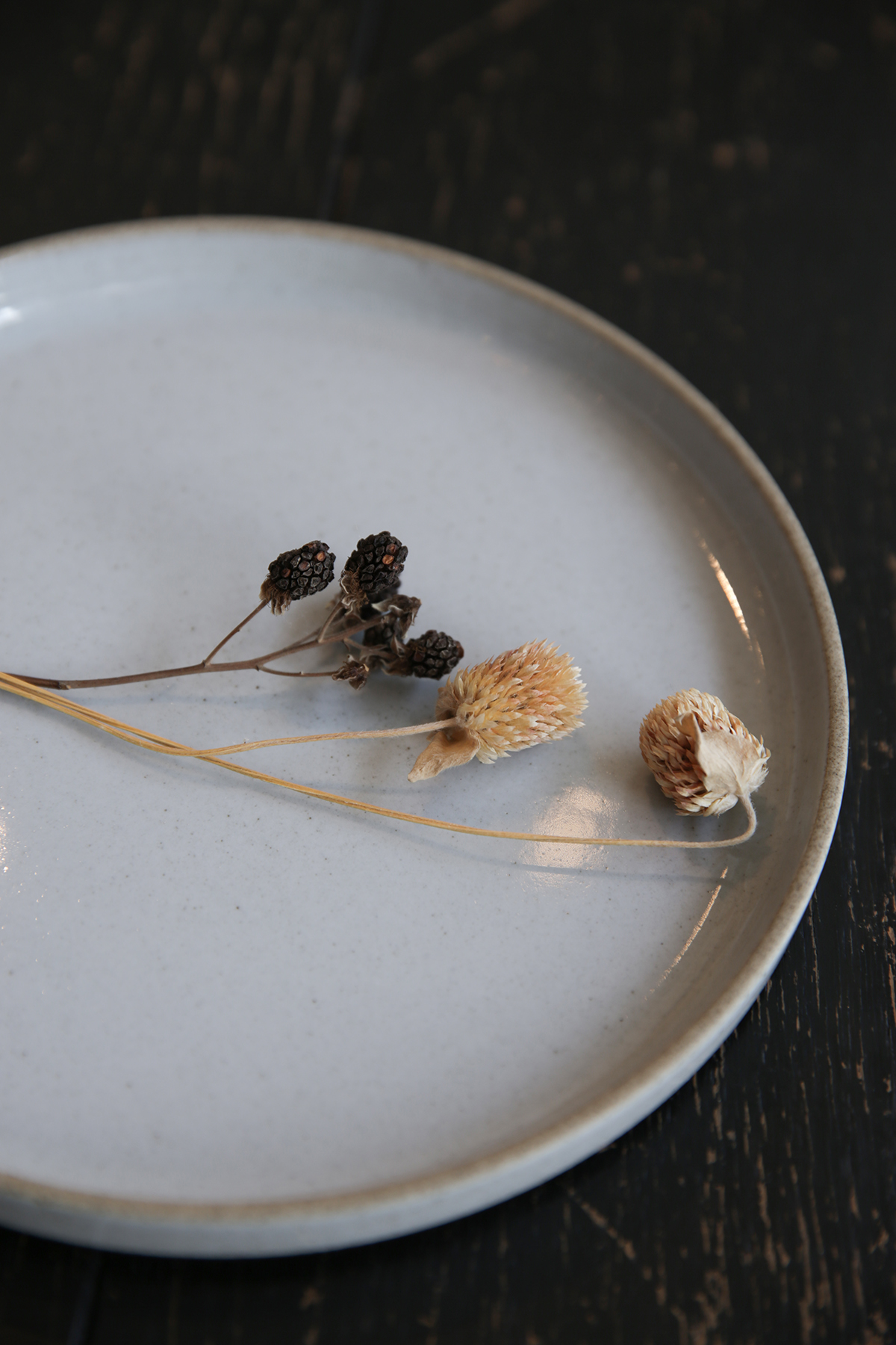 Plate ø220 x 21mm Gloss Gray