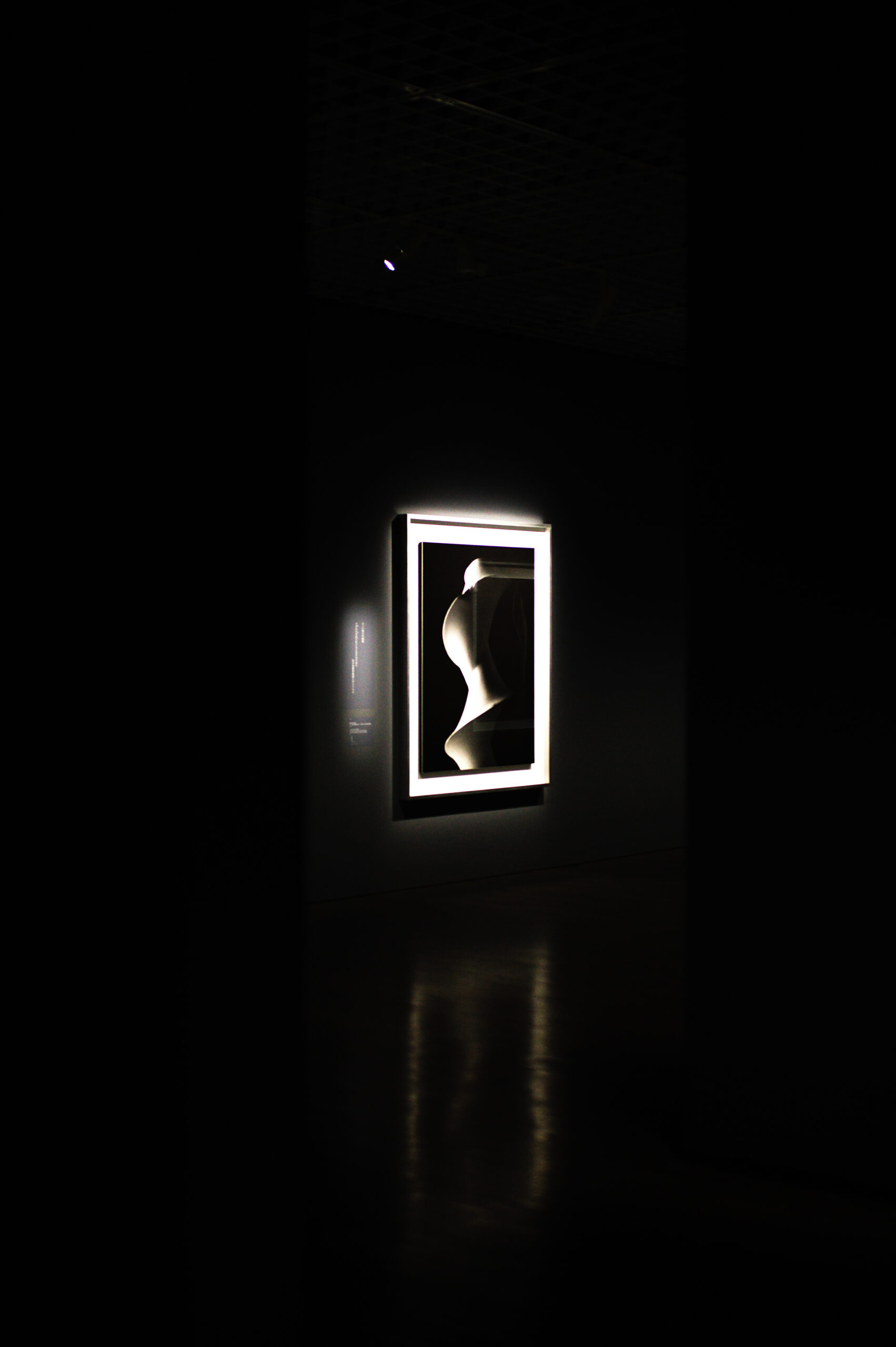 杉本博司 絶滅写真 後編 | ANOTHER LOUNGE
